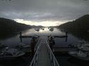 ./images/calvert/dock/20180706/dock20180706_211004.jpg