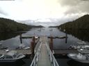 ./images/calvert/dock/20180707/dock20180707_094004.jpg