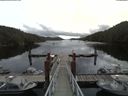 ./images/calvert/dock/20180707/dock20180707_113004.jpg