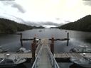 ./images/calvert/dock/20180707/dock20180707_113502.jpg