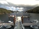./images/calvert/dock/20180707/dock20180707_145002.jpg