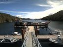 ./images/calvert/dock/20180709/dock20180709_125004.jpg