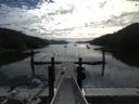 ./images/calvert/dock/20180717/dock20180717_095003.jpg