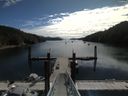 ./images/calvert/dock/20180717/dock20180717_105504.jpg