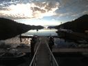 ./images/calvert/dock/20180719/dock20180719_072002.jpg