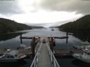 ./images/calvert/dock/20180720/dock20180720_075002.jpg
