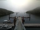 ./images/calvert/dock/20180724/dock20180724_085504.jpg