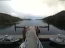 ./images/calvert/dock/20180725/dock20180725_134501.jpg