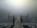 ./images/calvert/dock/20180727/dock20180727_054504.jpg