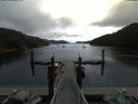./images/calvert/dock/20180731/dock20180731_105502.jpg