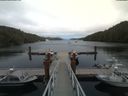 ./images/calvert/dock/20180731/dock20180731_152504.jpg