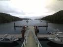 ./images/calvert/dock/20180801/dock20180801_055504.jpg