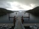 ./images/calvert/dock/20180801/dock20180801_084502.jpg