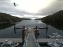 ./images/calvert/dock/20180802/dock20180802_120503.jpg