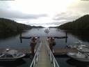 ./images/calvert/dock/20180803/dock20180803_055503.jpg