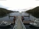 ./images/calvert/dock/20180803/dock20180803_060504.jpg
