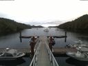 ./images/calvert/dock/20180803/dock20180803_061002.jpg