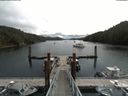 ./images/calvert/dock/20180803/dock20180803_113004.jpg