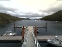 ./images/calvert/dock/20180803/dock20180803_144502.jpg