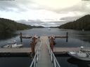 ./images/calvert/dock/20180803/dock20180803_172504.jpg