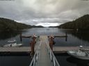./images/calvert/dock/20180803/dock20180803_180504.jpg