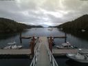 ./images/calvert/dock/20180803/dock20180803_205003.jpg