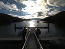 ./images/calvert/dock/20180804/dock20180804_082504.jpg