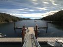 ./images/calvert/dock/20180804/dock20180804_121002.jpg