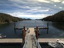 ./images/calvert/dock/20180804/dock20180804_122502.jpg