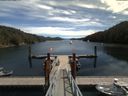./images/calvert/dock/20180804/dock20180804_124504.jpg