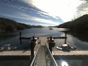 ./images/calvert/dock/20180805/dock20180805_102502.jpg