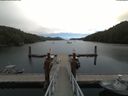 ./images/calvert/dock/20180806/dock20180806_122002.jpg