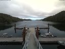 ./images/calvert/dock/20180806/dock20180806_165004.jpg