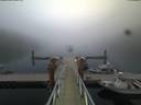 ./images/calvert/dock/20180808/dock20180808_212004.jpg