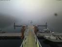 ./images/calvert/dock/20180808/dock20180808_212504.jpg