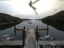 ./images/calvert/dock/20180810/dock20180810_081004.jpg