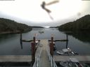./images/calvert/dock/20180810/dock20180810_084503.jpg