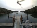 ./images/calvert/dock/20180810/dock20180810_085003.jpg
