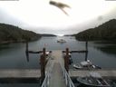 ./images/calvert/dock/20180810/dock20180810_093003.jpg
