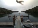 ./images/calvert/dock/20180810/dock20180810_093503.jpg