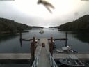 ./images/calvert/dock/20180810/dock20180810_094004.jpg