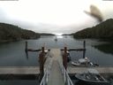 ./images/calvert/dock/20180810/dock20180810_095502.jpg