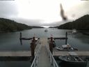 ./images/calvert/dock/20180810/dock20180810_103504.jpg