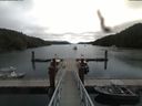./images/calvert/dock/20180810/dock20180810_110503.jpg