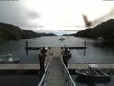 ./images/calvert/dock/20180810/dock20180810_112004.jpg
