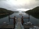 ./images/calvert/dock/20180811/dock20180811_073503.jpg