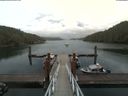 ./images/calvert/dock/20180811/dock20180811_110504.jpg