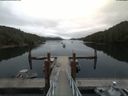 ./images/calvert/dock/20180812/dock20180812_103502.jpg