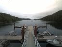 ./images/calvert/dock/20180812/dock20180812_120002.jpg