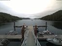 ./images/calvert/dock/20180812/dock20180812_120504.jpg